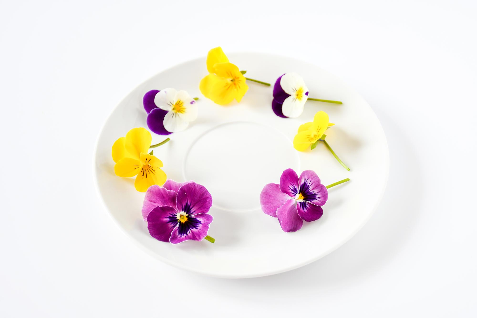 Plated dessert with edible flowers